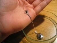 В городе Ростове-на-Дону 27 июня пройдет акция по сбору ртутьсодержащих отходов