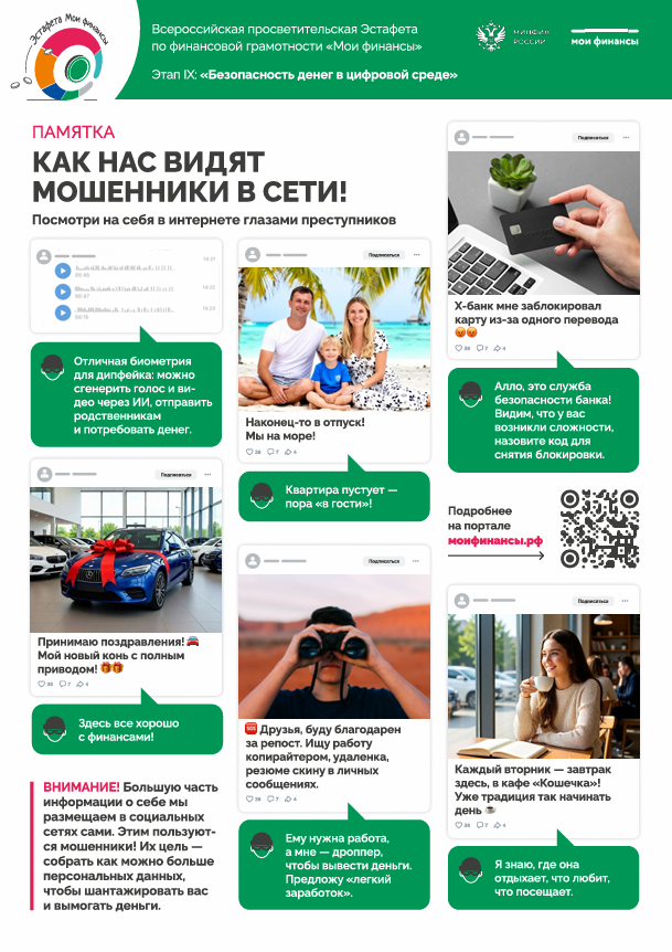 Плакат «Как нас видят мошенники в сети!»