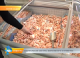 Контрольная закупка мороженого и креветок