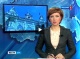 В Ростове начал работу телефон "горячей линии"