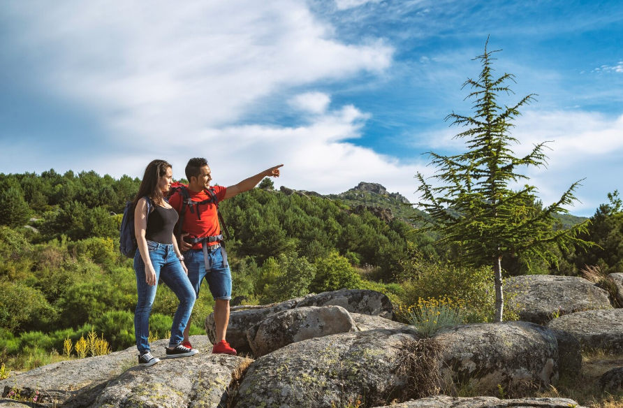 За подмену гостиниц квартирами и экскурсии без сопровождения хотят штрафовать строже